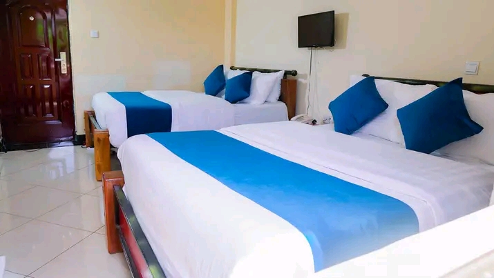 Elsa hotel twin room